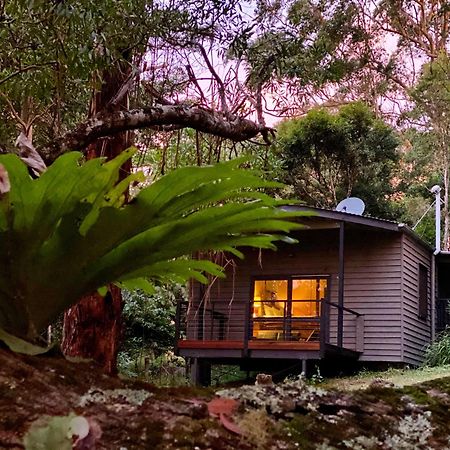 Whispering Valley Cottage Retreat Maleny Exterior foto